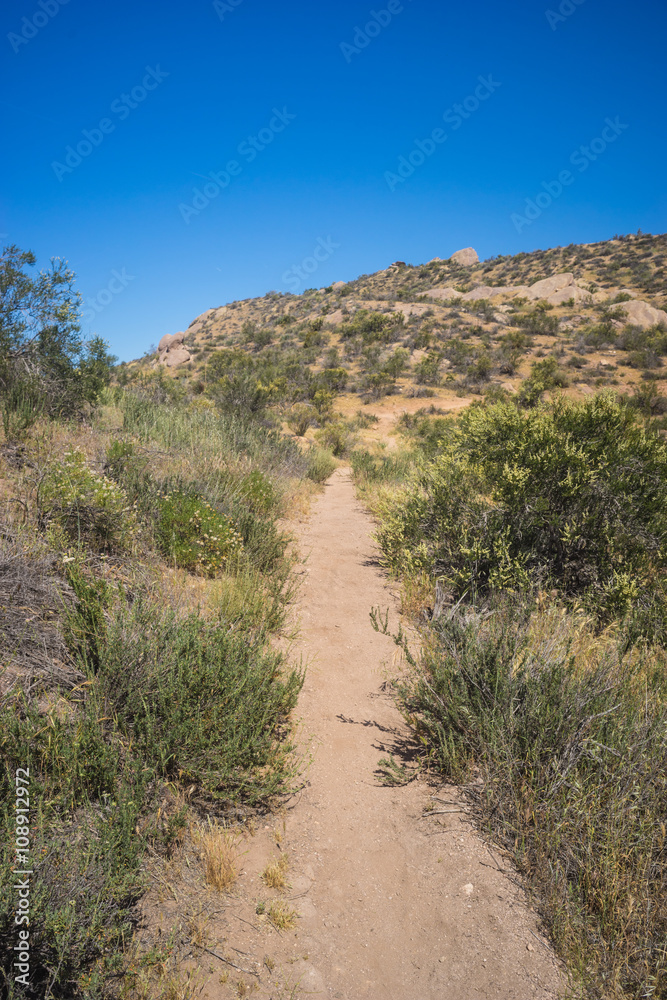 Small Dirt Hiking Trail