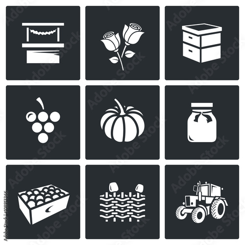 Vector Set of Agriculture Icons. Market, Roses, Beehive, Grapes, Pumpkins, Jam, Fruits, Wicker Fence, Tractor.