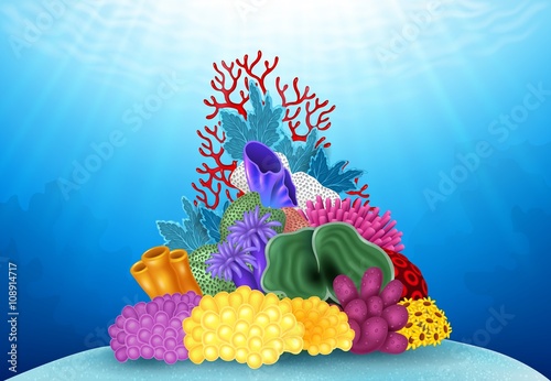 Beautiful Coral Underwater world