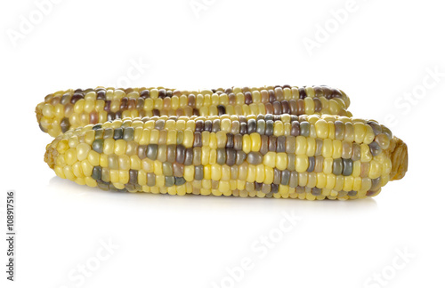 boiled white corn or glutinous corn on white background