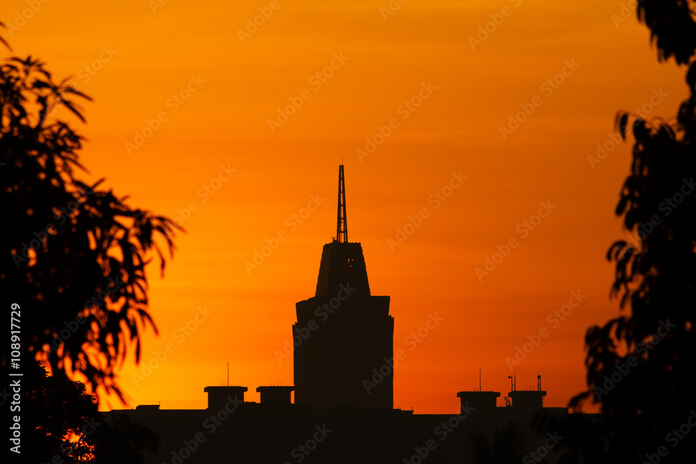 Buildings and Leaves Silhouette at Sunrise