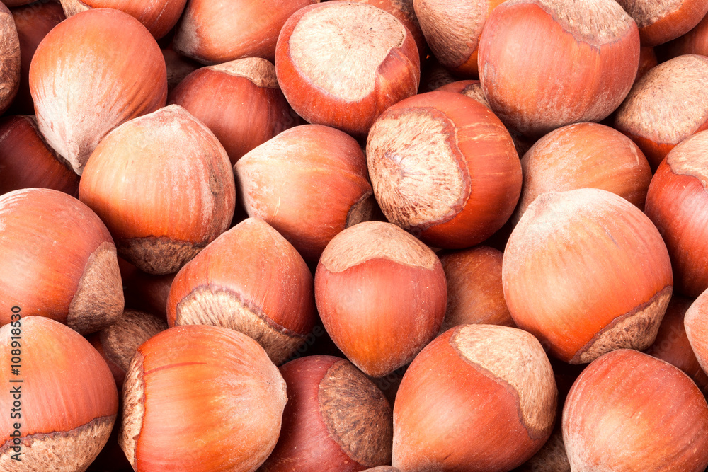 unpeeled hazelnuts as a background close-up macro unpeeled hazelnuts as a background close-up macro