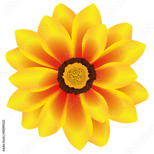 Illustration Vector Graphic Flower