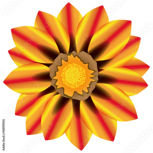 Illustration Vector Graphic Flower