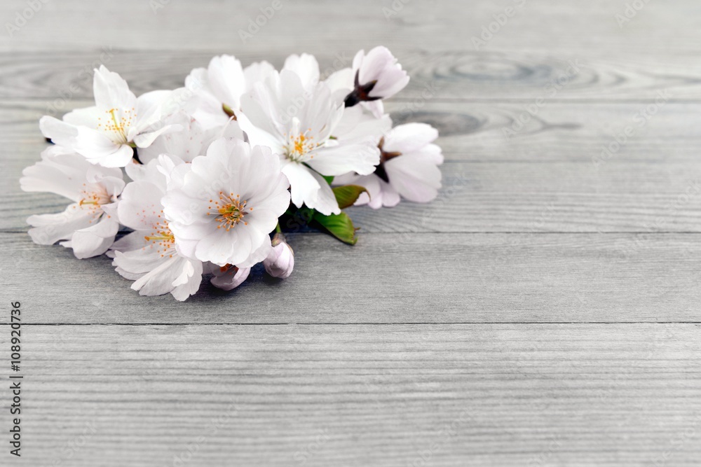 Spring background with cherry flowers, blossom. Spring background with cherry flowers, blossom.