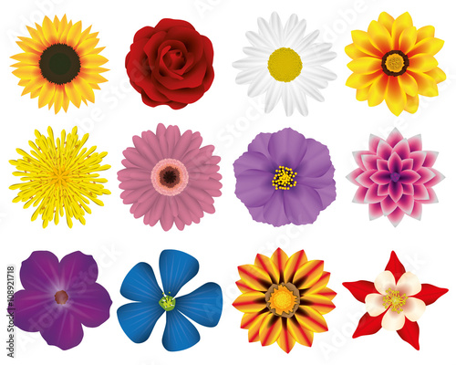 Illustration Vector Graphic Set Flowers