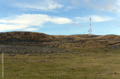 Pasture for sheep in the village of Cameron. Tierra Del Fuego.