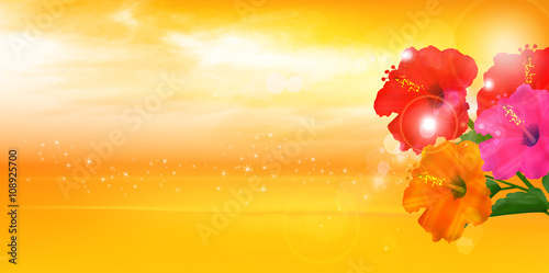 ハイビスカス　海　風景　背景