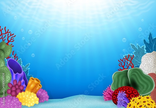 Beautiful Underwater World