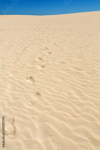 Sand patterns after wind  on the Nature reserve  Park Natural  Corralejo  Fuerteventura  Canary Islands  Spain.