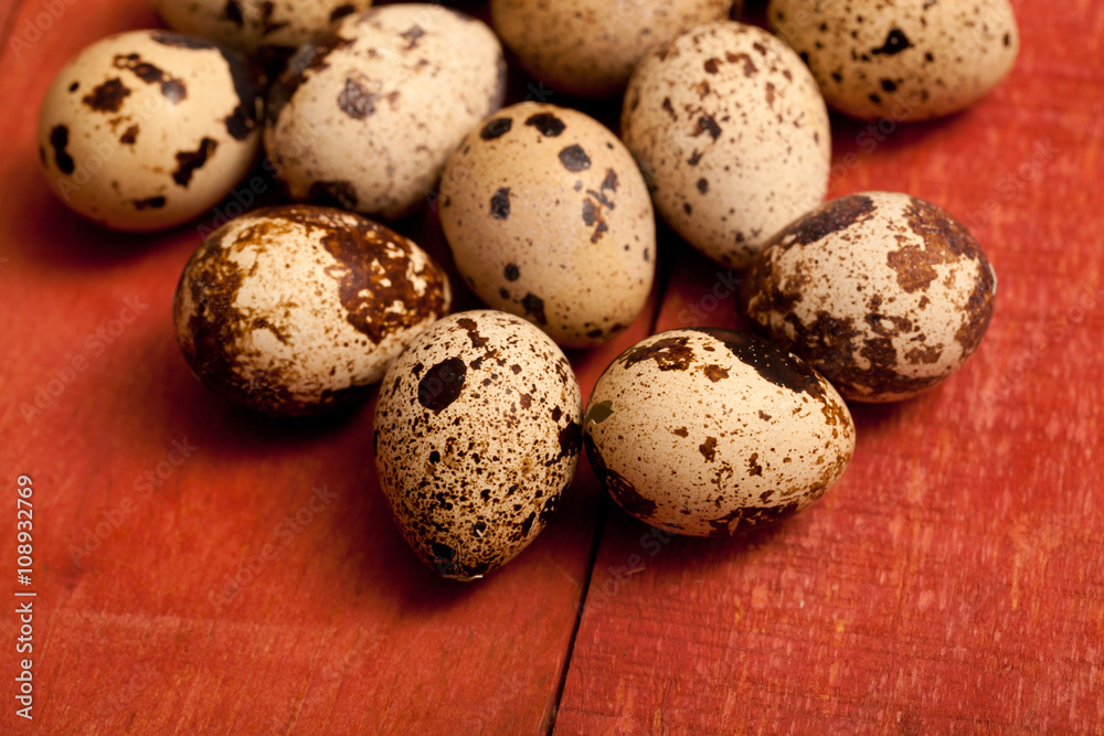 quail eggs quail eggs