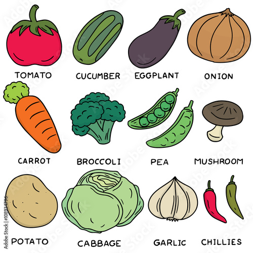 vector set of vegetable
