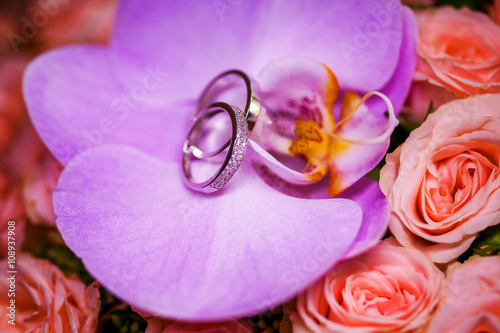 Fototapeta Naklejka Na Ścianę i Meble -  Beautiful wedding rings with diamonds on the purple Orchid.