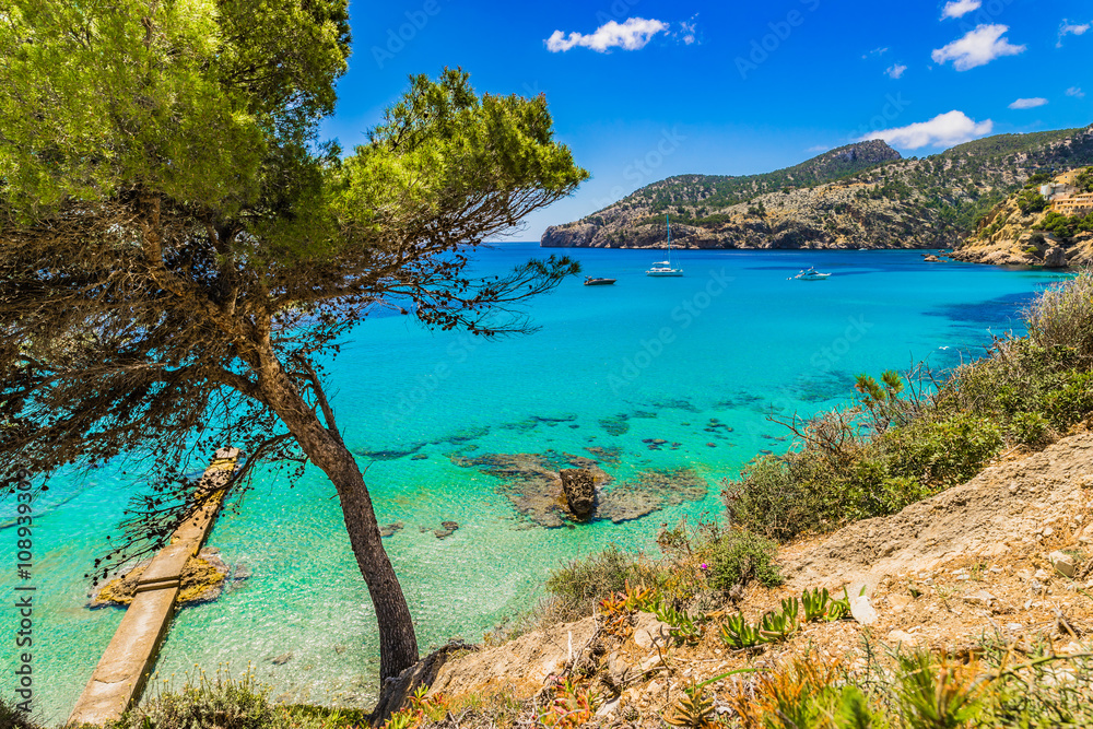 Idyllic view of Camp de Mar Majorca Landscape Sea Bay 