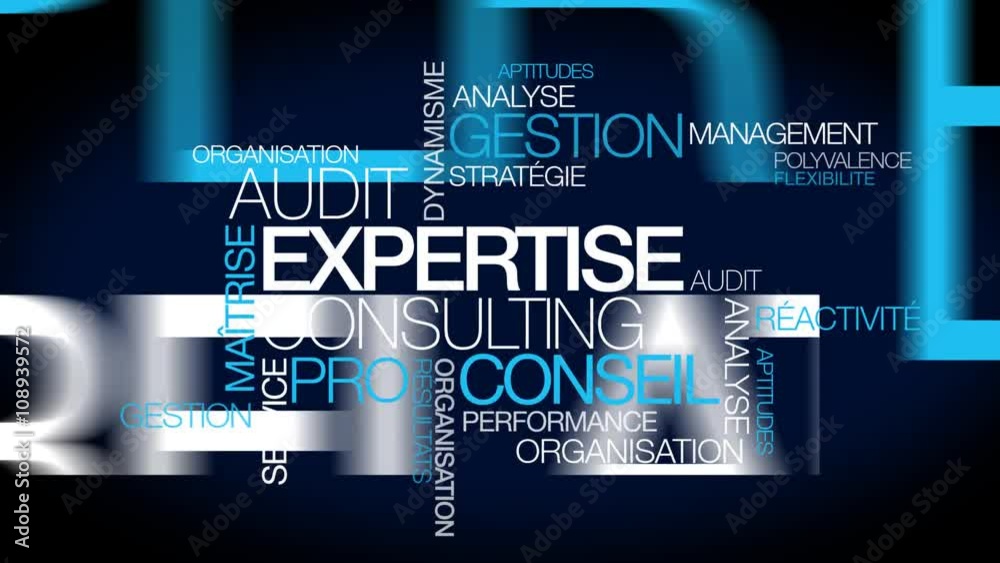 Expertise audit conseil consultant tag cloud nuage de mots consulting texte animation