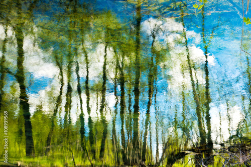 Trees and blue sky with clouds reflection on river