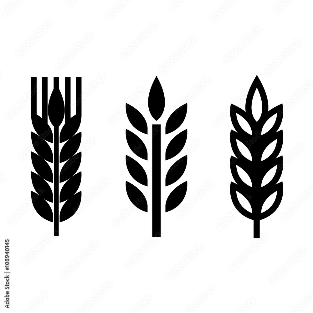Vector black wheat ear spica icons set on white background