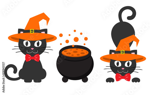 cat in witch hat and cauldron set