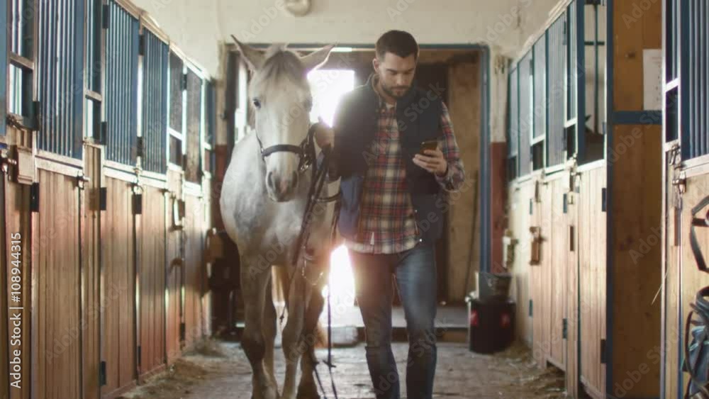 Man is walking a white horse in stable while using a mobile phone. Shot on RED Cinema Camera.