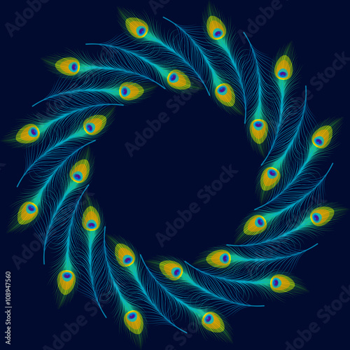 Vector peacock feathers on blue background.