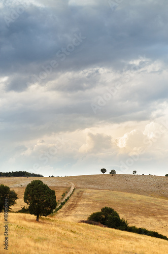 Paesaggio di montagna al tramonto