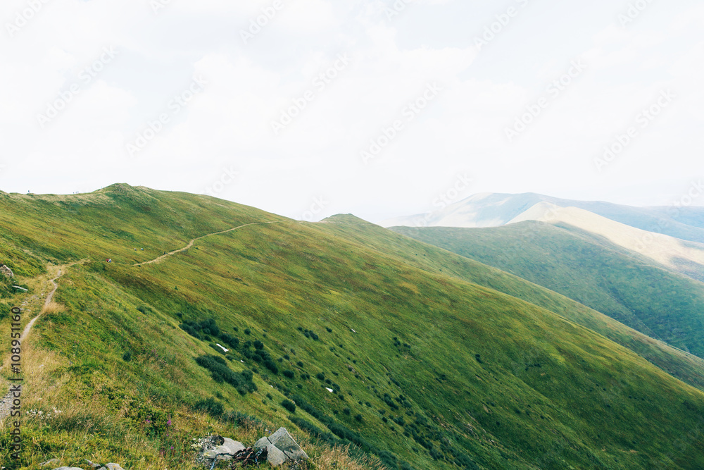 Fototapeta premium Road in Green mountains, hills, travel, landscape
