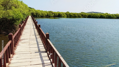 Walking bridge by lake