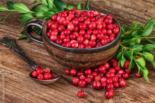 cranberry organic berries over wood
