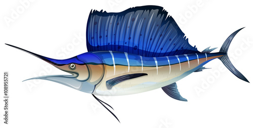 Swordfish with blue fin