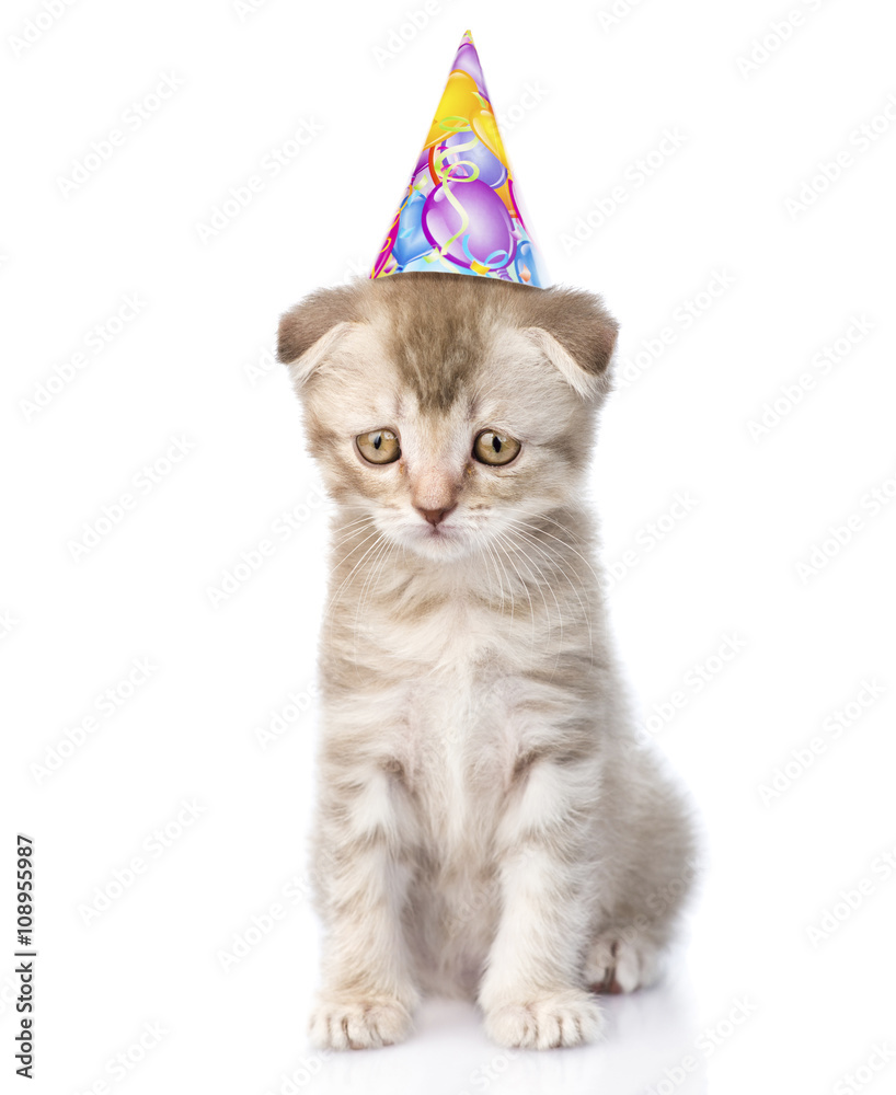 cat meme birthday cake｜TikTok Search