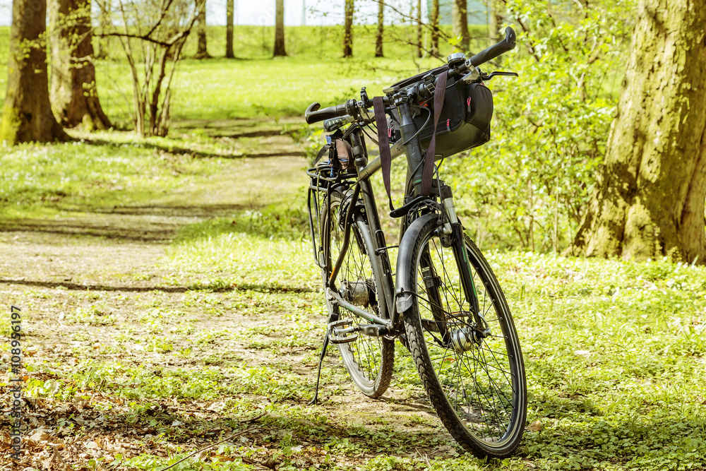 Naklejka premium Bicycle stands in the park
