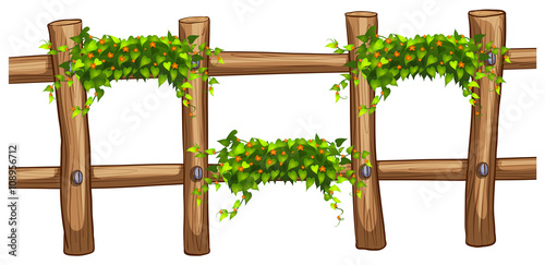 Wooden fence with plant decoration