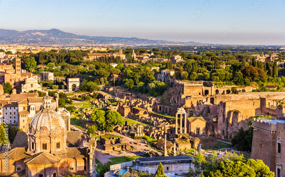 Aerial view of the Roman Forum