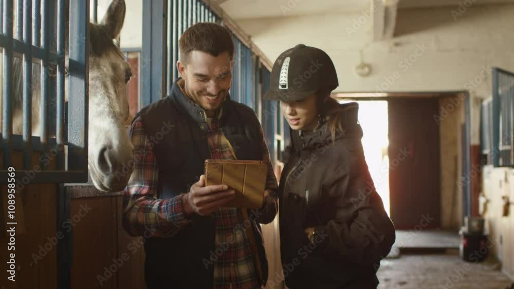Happy smiling man is using a smartphone next to a horse in a stable. Shot on RED Cinema Camera. Happy smiling man is using a smartphone next to a horse in a stable. Shot on RED Cinema Camera.