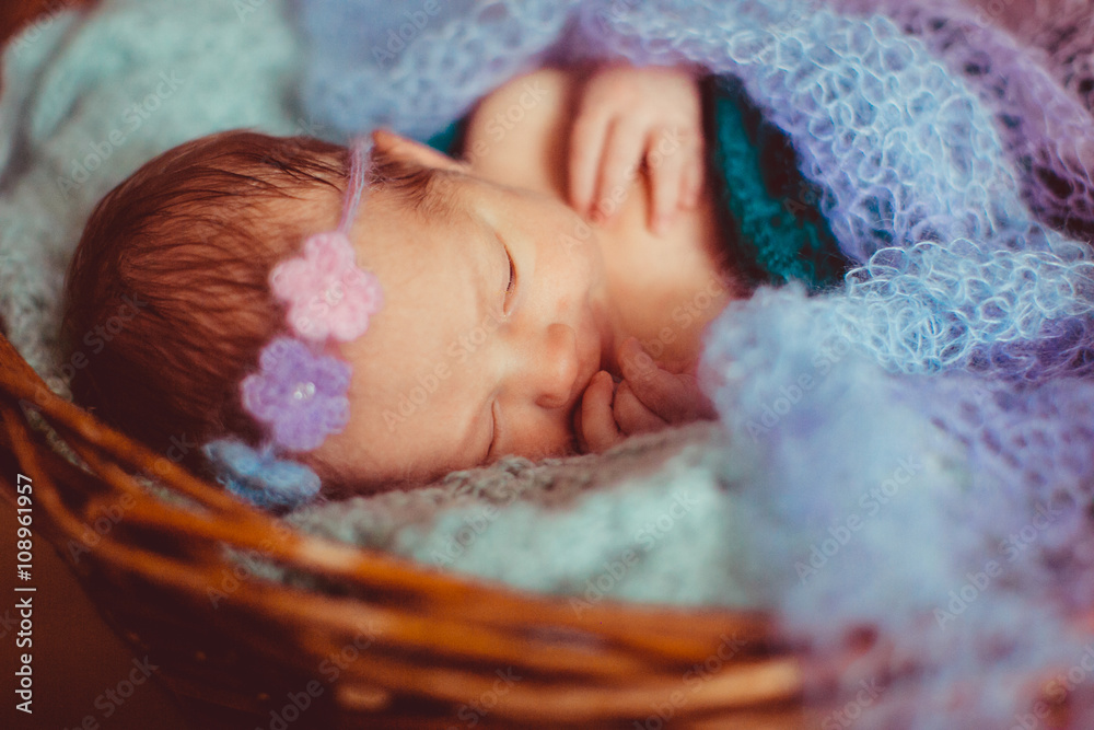 Baby is peacefully resting in the basket Baby is peacefully resting in the basket
