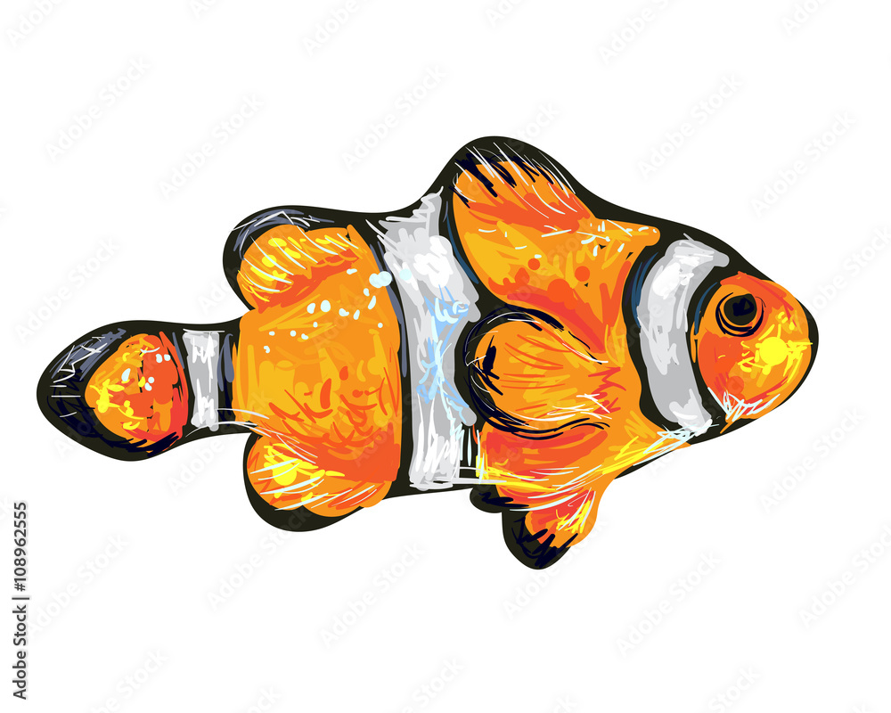 Clown fish (Amphiprion ocellaris) or anemone fish cartoon vector  illustration. Tropical sea life illustration. Underwater sea animal vector  illustration. Cute orange fish vector illustration Stock Vector | Adobe  Stock