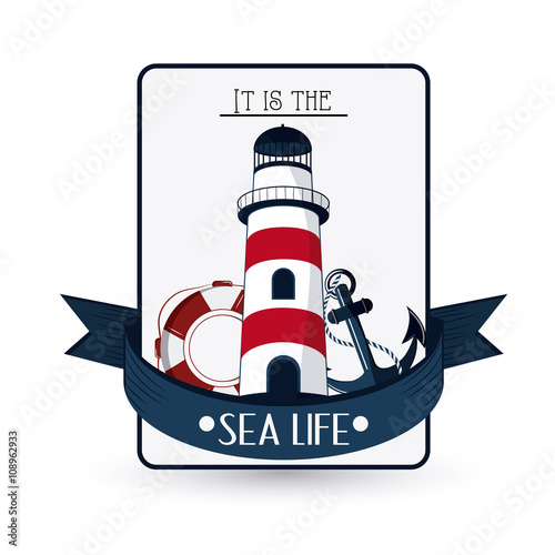 Sea life design  nautical and marine concept  vector illustration