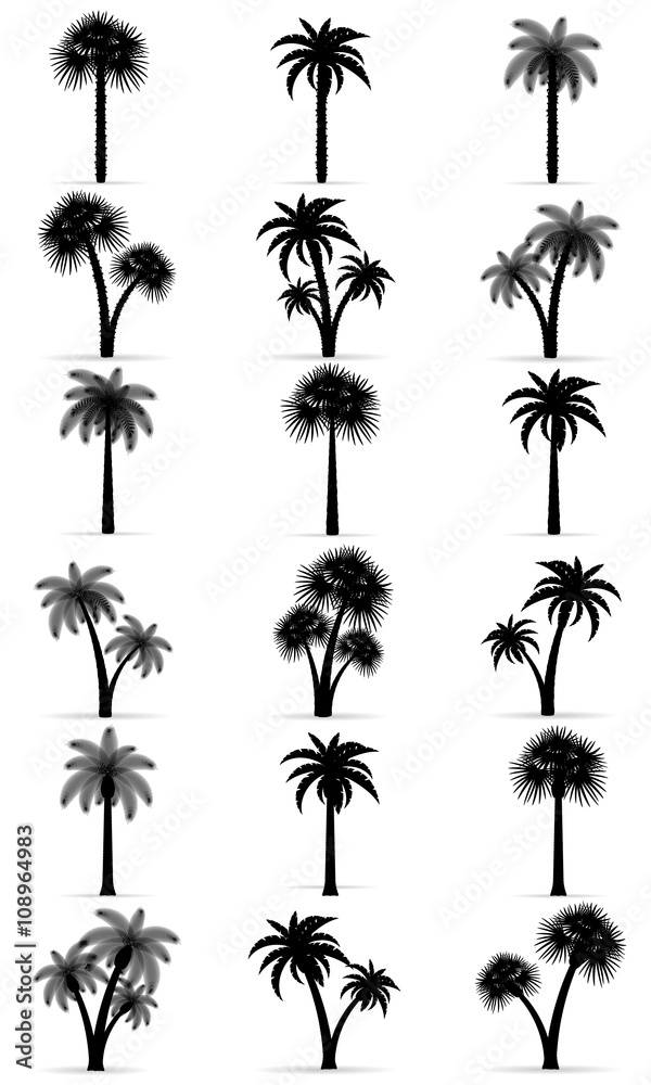 Obraz premium palm tree black outline silhouette vector illustration