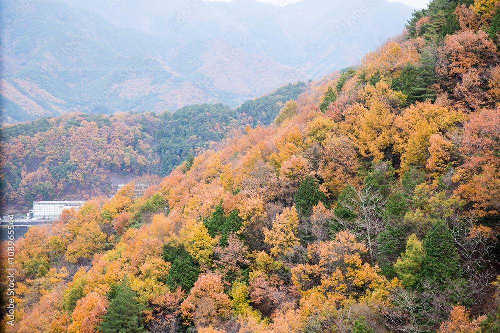 Autumn mountain