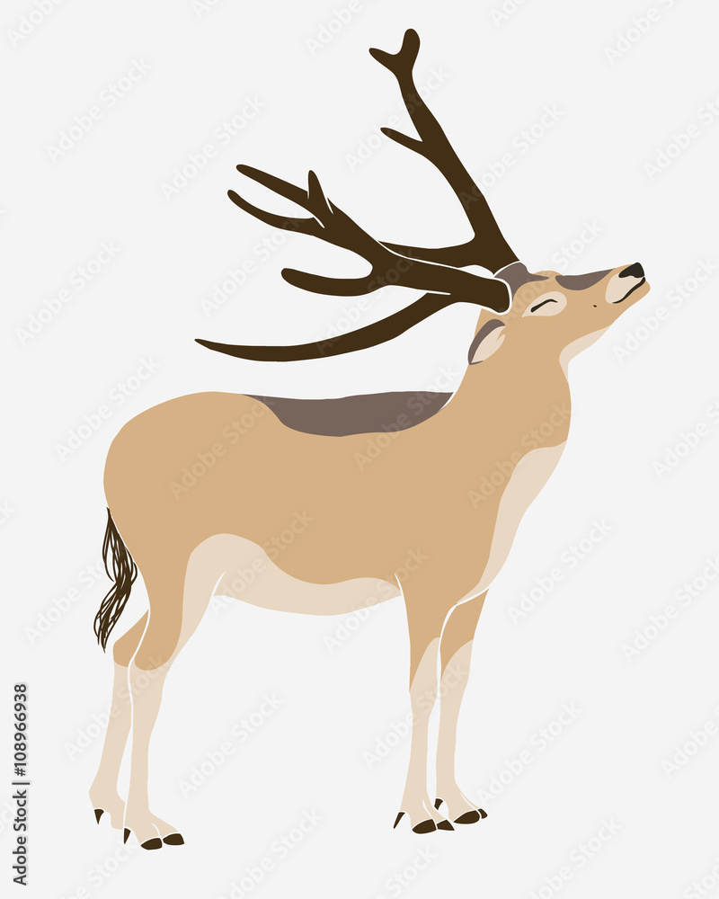 Obraz premium David’s deer (milu, elaphure)