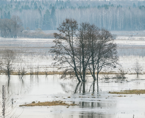 Spring flood. River Sukhodrev, Kaluga region, Russia