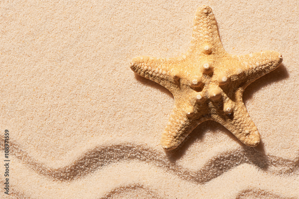 Starfish on sand with mark of wave. Summer beach background Starfish on sand with mark of wave. Summer beach background