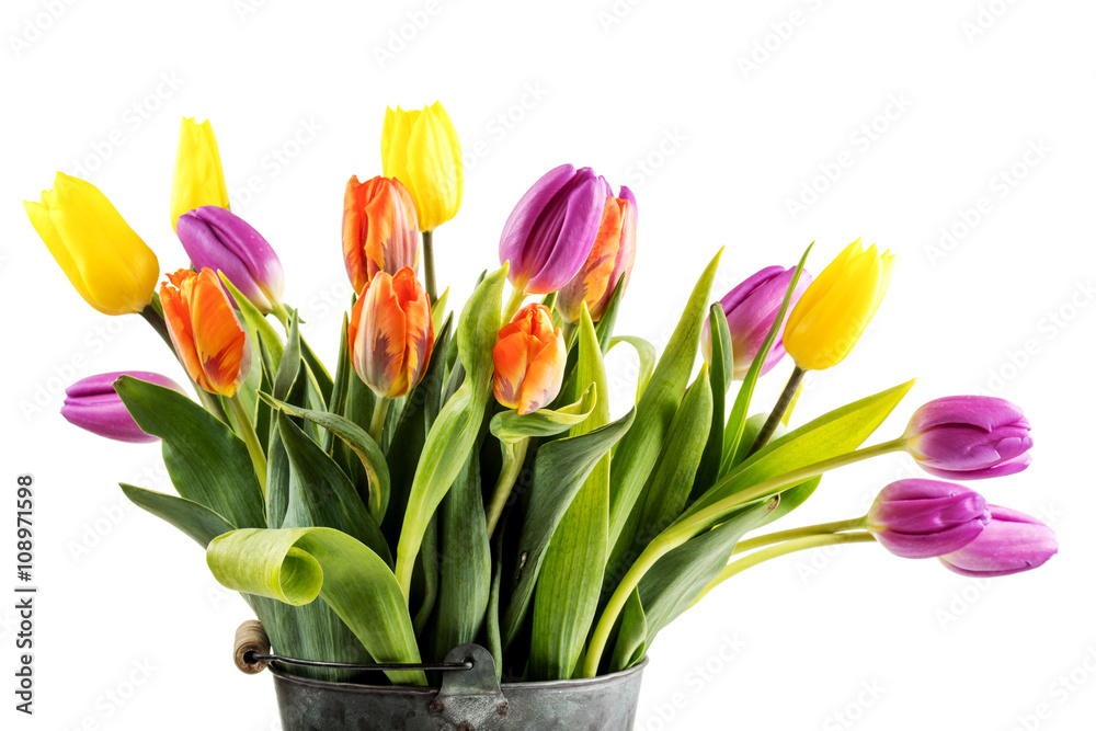 Bouquet of orange purple and yellow tulips Bouquet of orange purple and yellow tulips