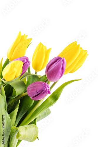 Fototapeta Naklejka Na Ścianę i Meble -  Bouquet of yellow and purple tulips 