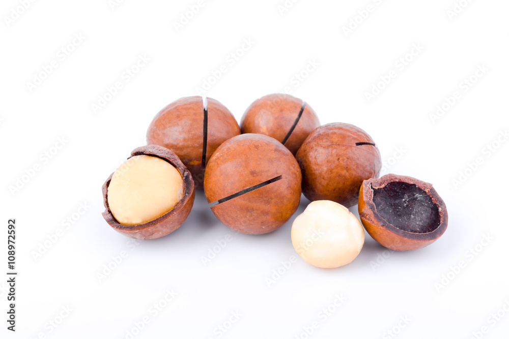 macadamia nuts on the white background, isolated macadamia nuts on the white background, isolated