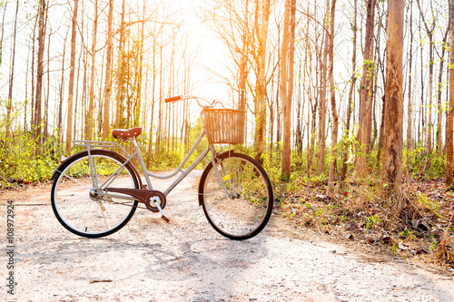 Beautiful vintage bicycle in the forest with beautiful sunlight;vintage filter tone for poster and postcard.
