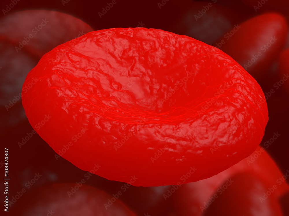 Single red blood cell erythrocyte in interior of arterial or capillary ...