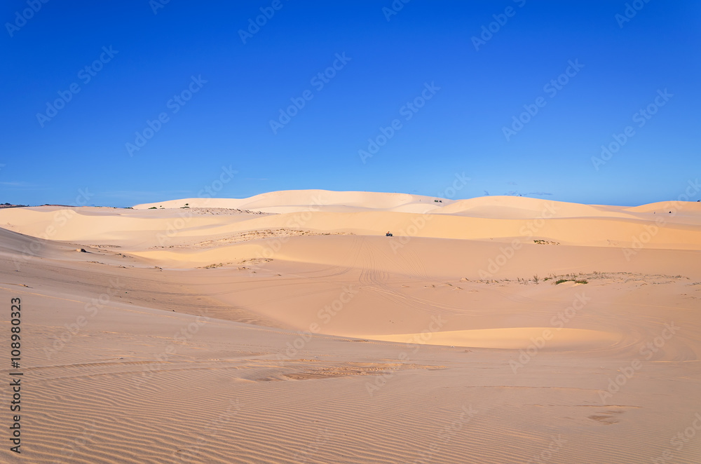 Landscape White sand dune with car tracks in Mui Ne, Vietnam Pop