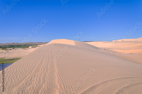 Landscape White sand dune with car tracks in Mui Ne  Vietnam Pop