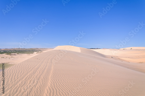 Landscape White sand dune with car tracks in Mui Ne  Vietnam Pop